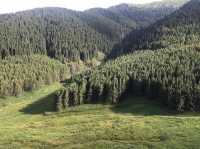 Ile-Alatau National Park - Made Kazakhstan worthwhile