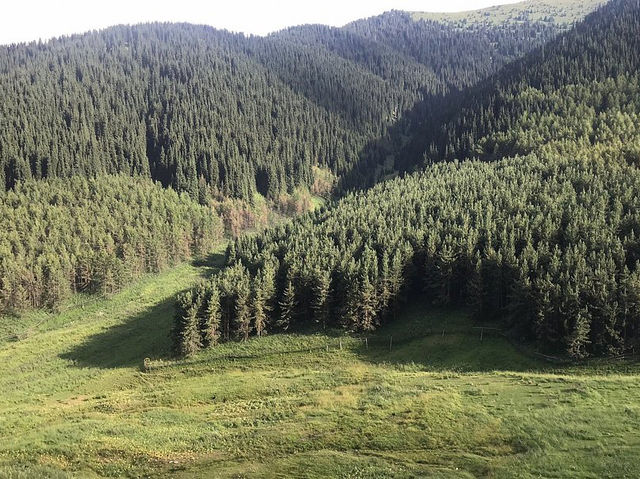 Ile-Alatau National Park - Made Kazakhstan worthwhile