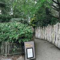 Auckland Zoo: ครึ่งวันที่เต็มไปด้วยความสนุกสนาน