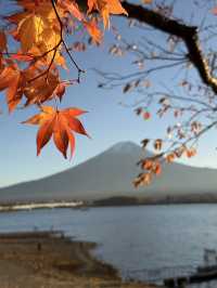 Quineville Fall Vibes & Fuji Views: Ultimate 3-Day Itinerary 🍁🌄