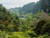 Sanctuary of Song & Forest Memory