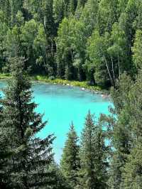 “Autumn Glory of Kanas Lake”