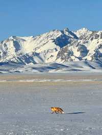 ❄️“The Frozen Pearl of Xinjiang” ❄️
