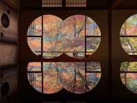 🍁 嵐山深處的秋日詩篇:夢幻祐斎亭遊記