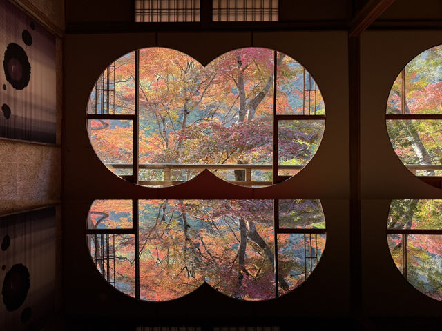 🍁 嵐山深處的秋日詩篇:夢幻祐斎亭遊記 🍁 嵐山深處的秋日詩篇:夢幻祐斎亭遊記