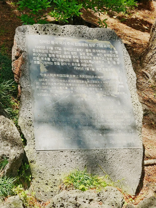 韓國🇰🇷翰林公園