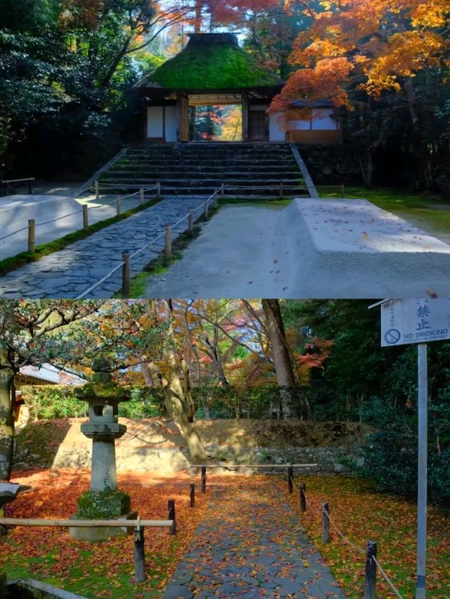 京都法然院紅葉季靜謐之旅🍁