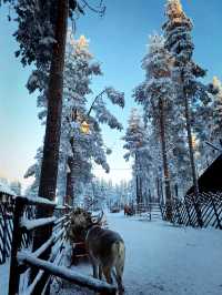 Christmas Magic: Santa Claus Village in Rovaniemi 🎅