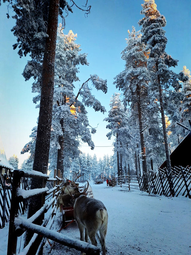Christmas Magic: Santa Claus Village in Rovaniemi 🎅