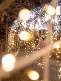 え？四国最大級のイルミネーションがたったの450円？！！まんのう公園のイルミネーション2025