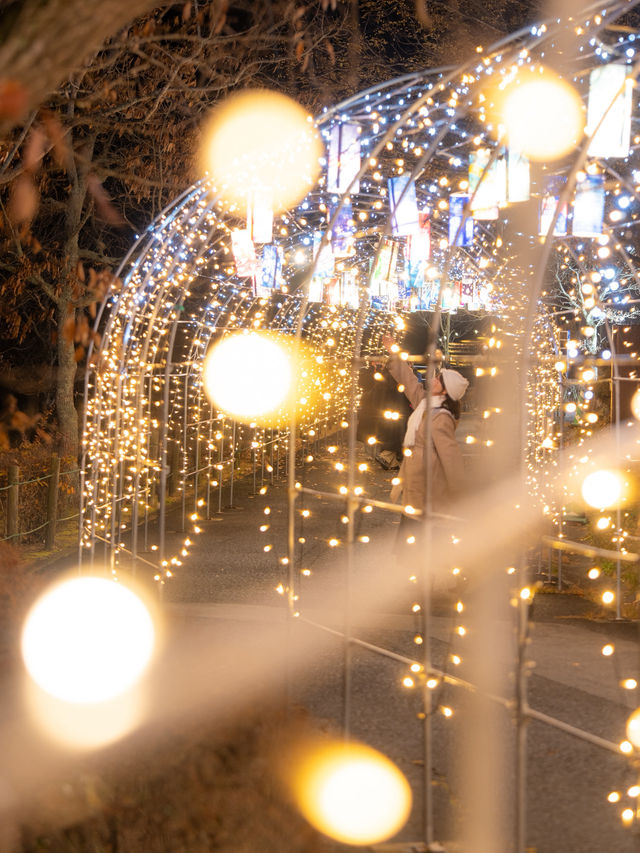 え？四国最大級のイルミネーションがたったの450円？！！まんのう公園のイルミネーション2025