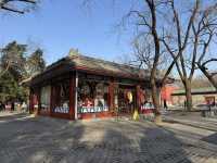 ☕🍰 Tiantan Moments 天坛拾光 — A Pleasant Surprise Inside the Temple of Heaven Park