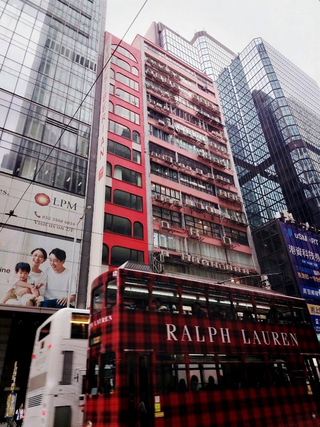 罅縫中的西伯利亞皮草大廈和Chocolux📸 罅縫中的西伯利亞皮草大廈和Chocolux📸