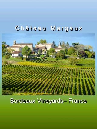 法國波爾多葡萄園