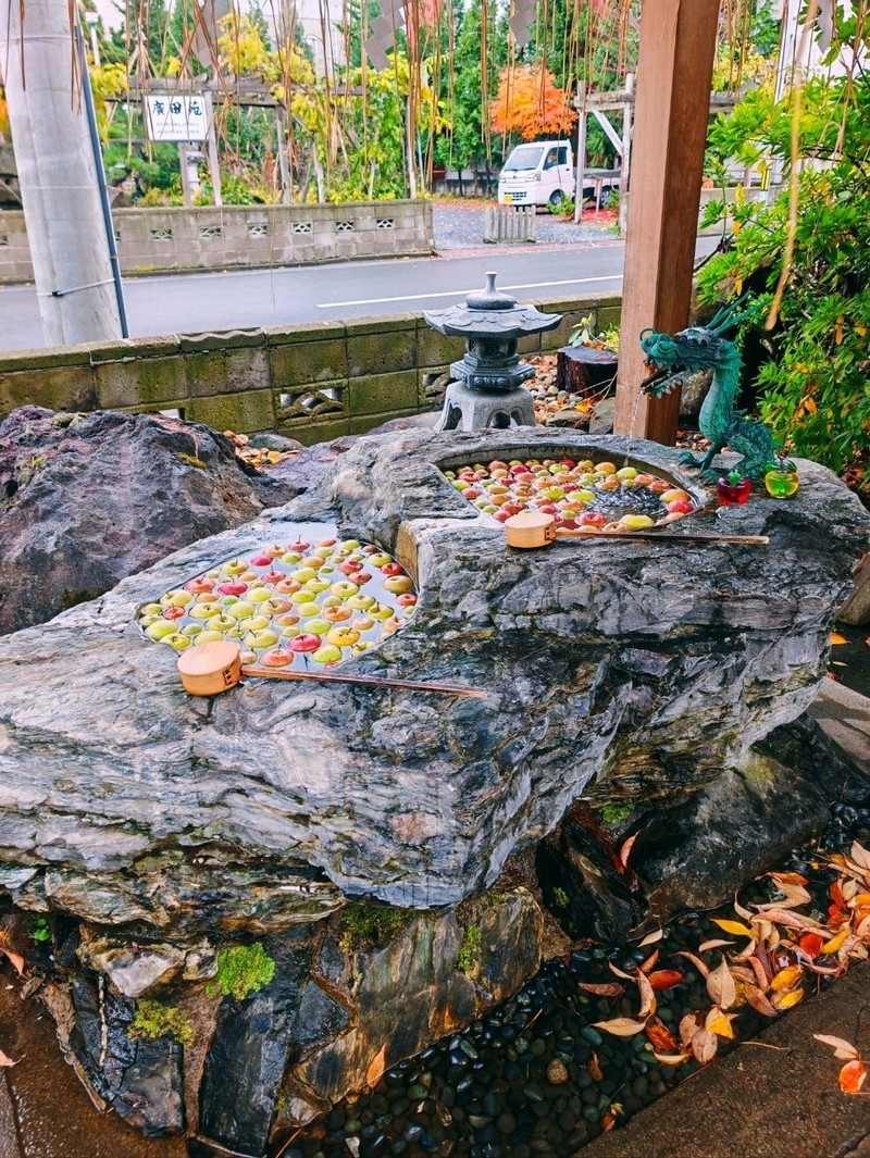 Aomori + Hirosaki Itinerary ⛩️ | Trip.com Hirosaki