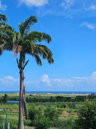 カリブ海バルバドス旅行 🌴