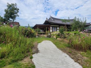 石垣越しの秋の花、咸陽『開平韓屋村』散策