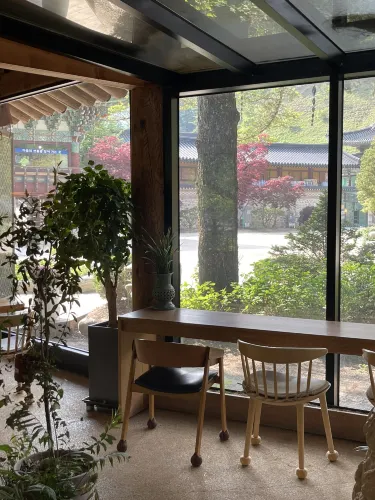 🌲 오대산 전나무 숲길 끝에서 만난 통창숲속뷰, '난다나(Nandana)' 카페