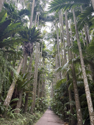🌴南国の風に包まれる、癒しと発見のガーデン🌿✨ | Trip.com 沖縄市