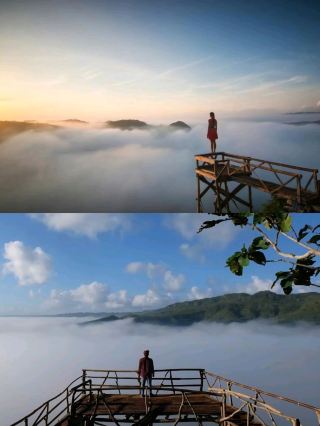 「雲端上的森林景觀」《普農賽烏觀景台》