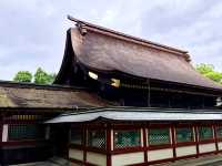 เที่ยวฟุกุโอกะ คิวซู ญี่ปุ่น Spring at Kyushu 2026