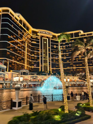 被澳門壯麗的夜景所迷住，一次遊覽盡覽全城風采