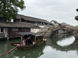 More Soulful Than Xizha! Step Into Wuzhen Dongzha to Rediscover the Purest Jiangnan Water Town.