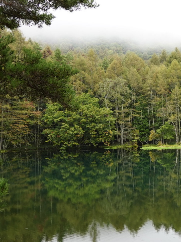 A breathtaking landscape woven from greenery and tranquility: the