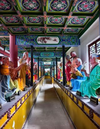🌲 Qiqu Mountain | Walking Beneath Two Thousand Years of Green