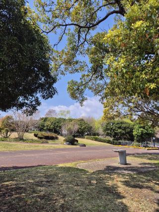吉田公園：漫活午後時光