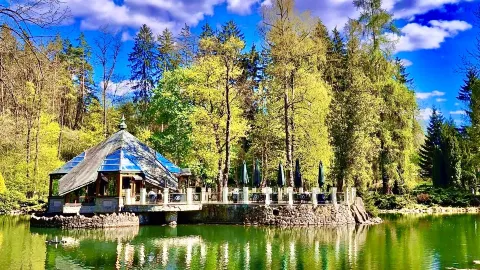 Unwind In Bratislava Top City Gardens 🍀 — traveler post in Bratislava