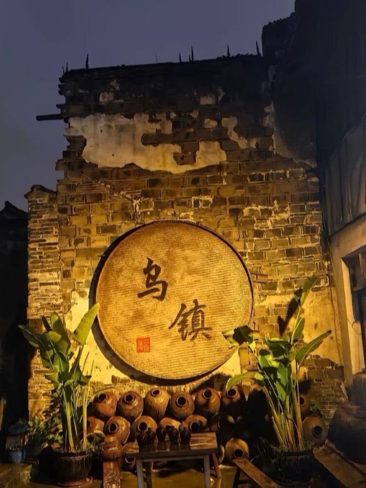 Unplanned Adventure in Wuzhen 🏮