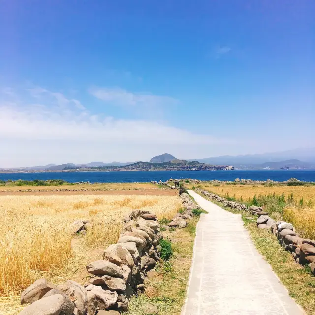 또가고 싶은 좋은 제주 추천 관광지