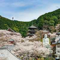 治愈神殿