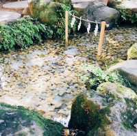 【埼玉県🇯🇵川越氷川神社】縁結びの神様⛩️可愛い鯛みくじで映えスポット