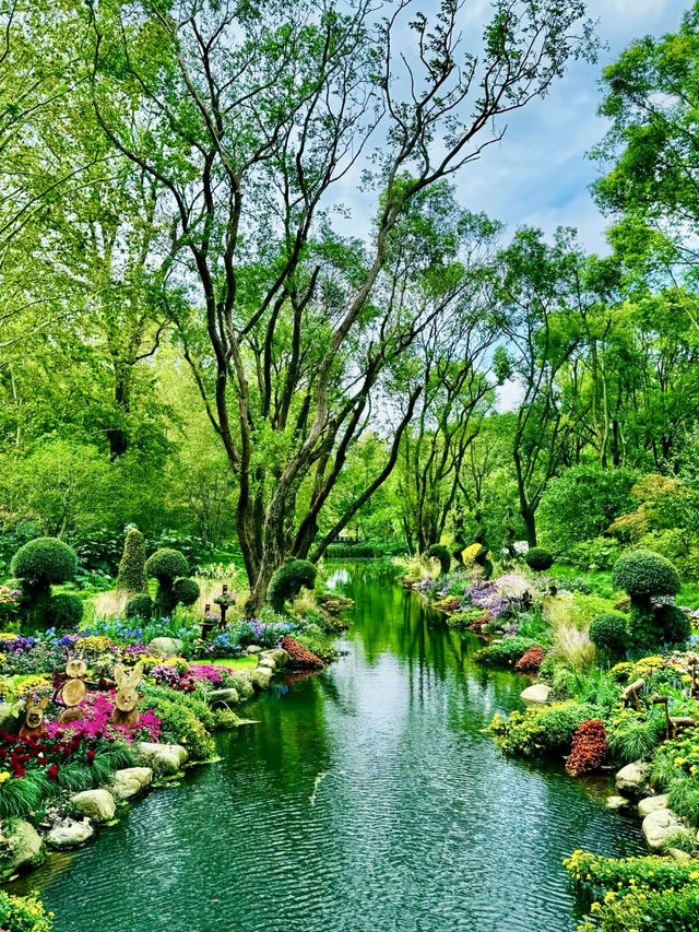 莫奈的夢境：漫步共青森林公園的花海之中