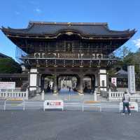 【成田🇯🇵成田山新勝寺】パワースポットへお参りに☺️