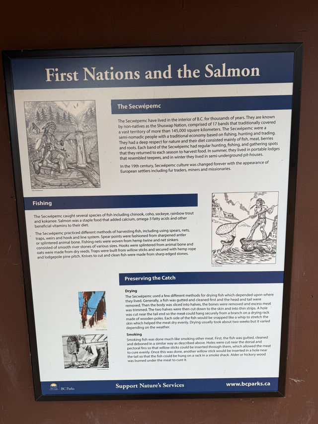 ชมวิถีชีวิตปลาแซลมอนว่านทวนน้ำ 