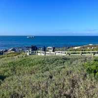 Boulders penguin sanctuary 