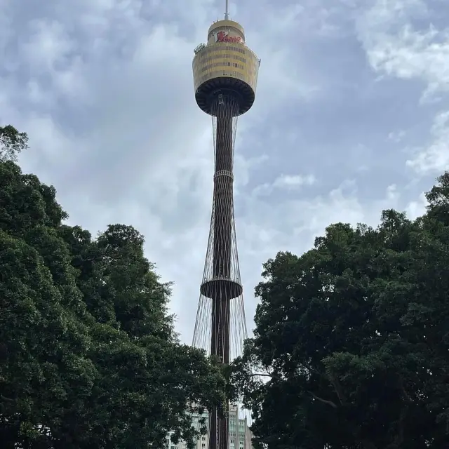 Must Visit: Sydney Tower Eye 🇦🇺