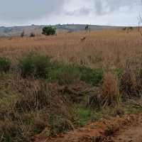 Breathtaking Nature in Malolotja