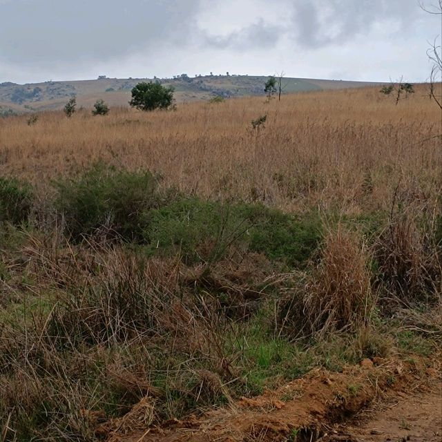 Breathtaking Nature in Malolotja
