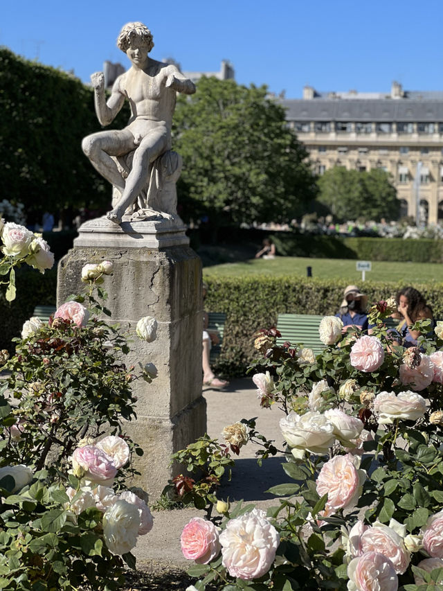 🇫🇷파리의 Palais royal을 가야하는 이유 3️⃣가지