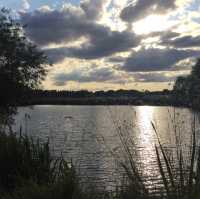 The beauty of Watermead park 