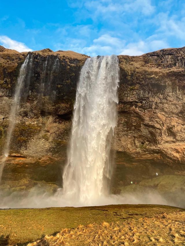 Waterfall in Iceland 🇮🇸 
