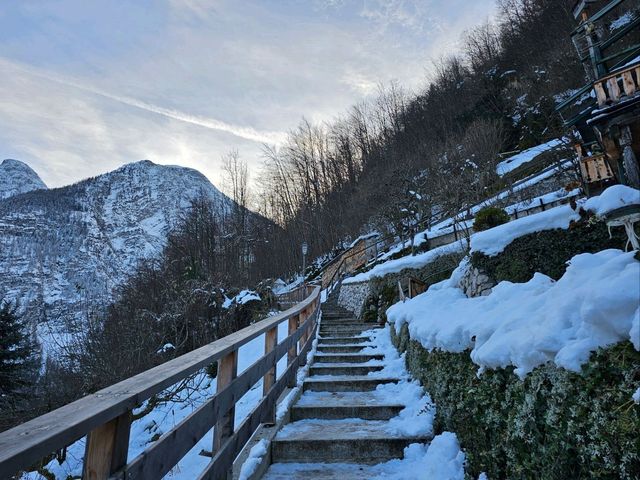 🇦🇹 오스트리아 할슈타트의 겨울 전망대를 소개합니다