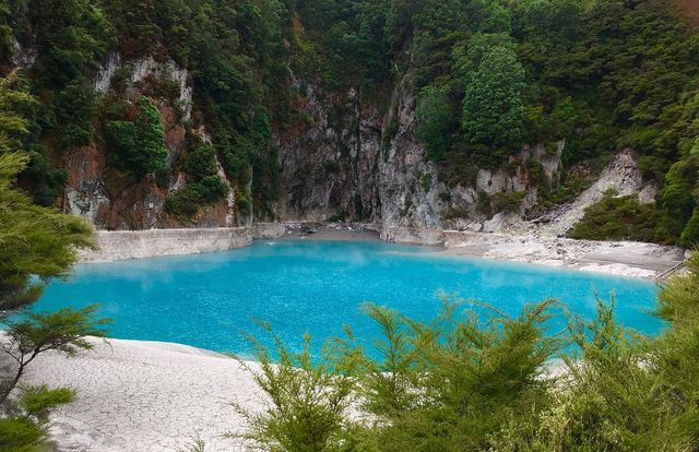 Enchanting Rendezvous in Rotorua 🌋