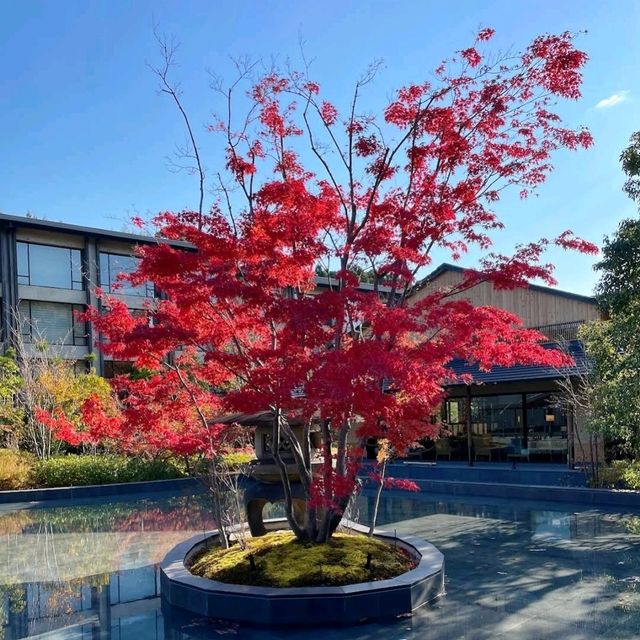 《洛可京都Roku Kyoto LXR 酒店》彷如隔世，寧靜的世外桃源🌸