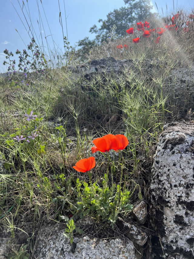 Turkey: Hierapolis ancient city🏛️