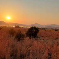 Unforgettable Wildlife Adventure at Pilanesberg National Park!